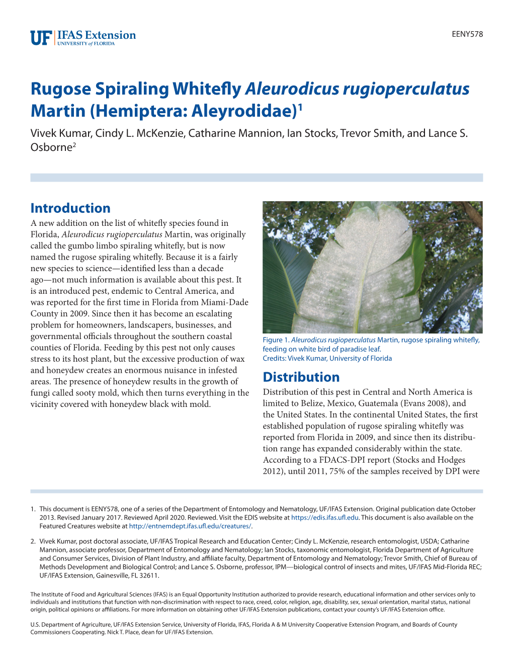 Rugose Spiraling Whitefly Aleurodicus Rugioperculatus Martin (Hemiptera: Aleyrodidae)1 Vivek Kumar, Cindy L