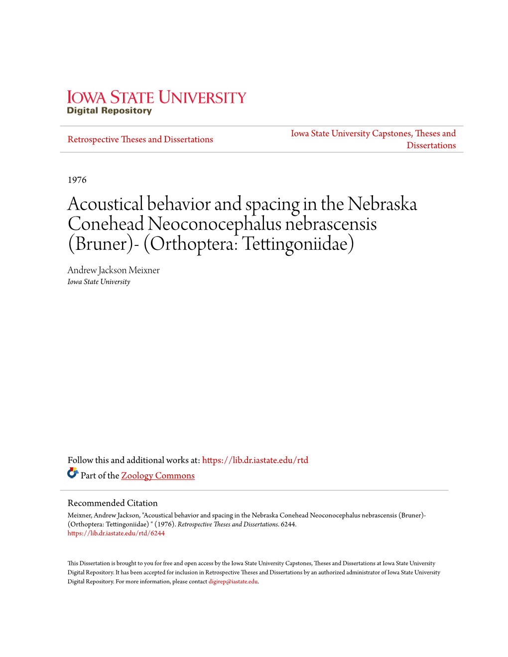 Acoustical Behavior and Spacing in the Nebraska Conehead