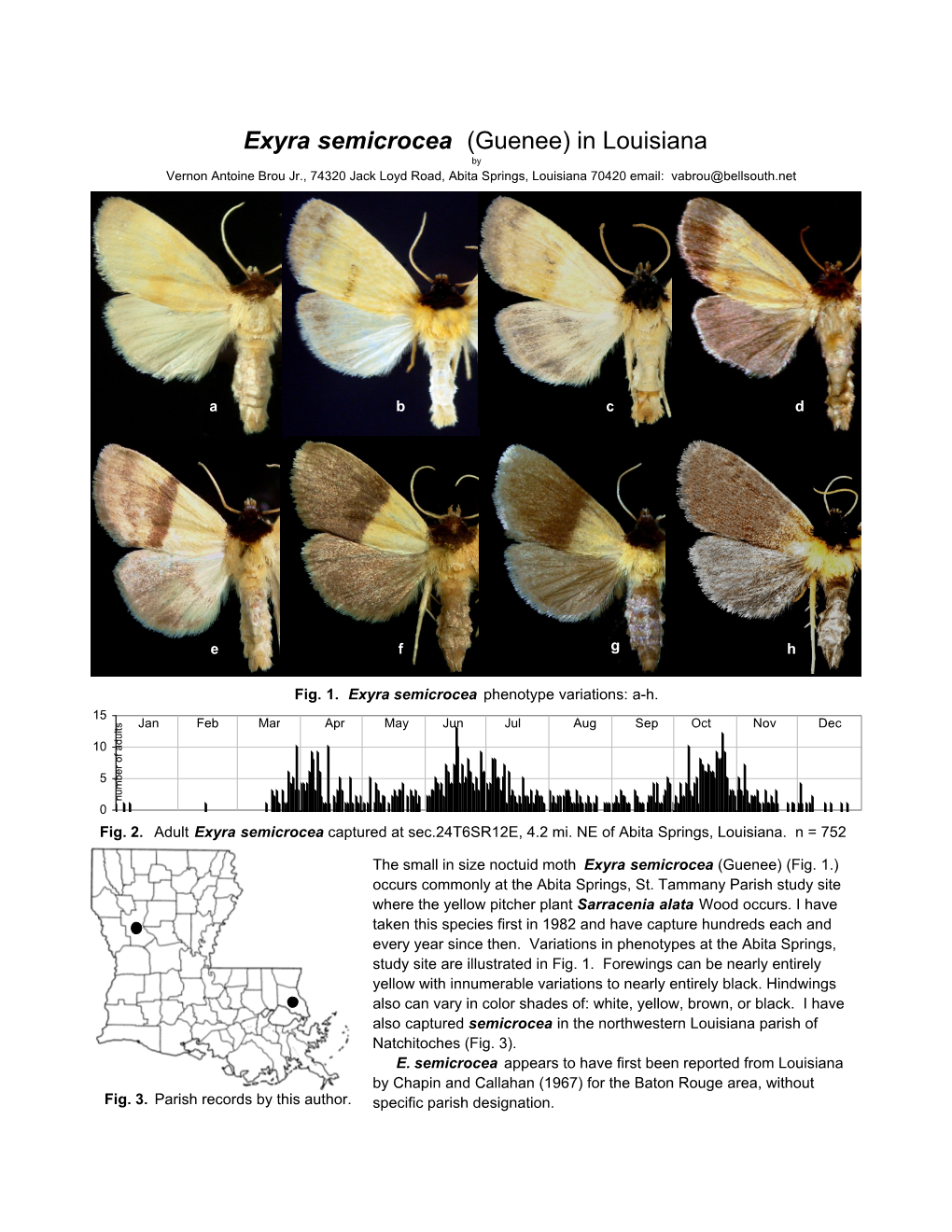 Exyra Semicrocea (Guenee) in Louisiana by Vernon Antoine Brou Jr., 74320 Jack Loyd Road, Abita Springs, Louisiana 70420 Email: Vabrou@Bellsouth.Net