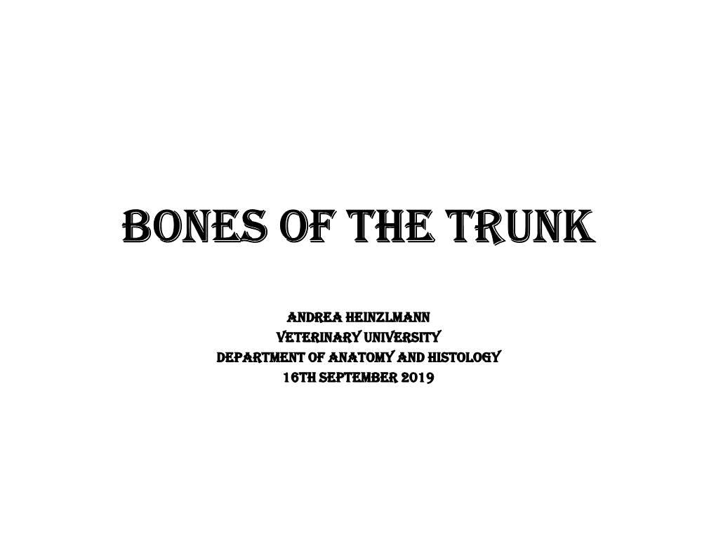 Bones of the Trunk