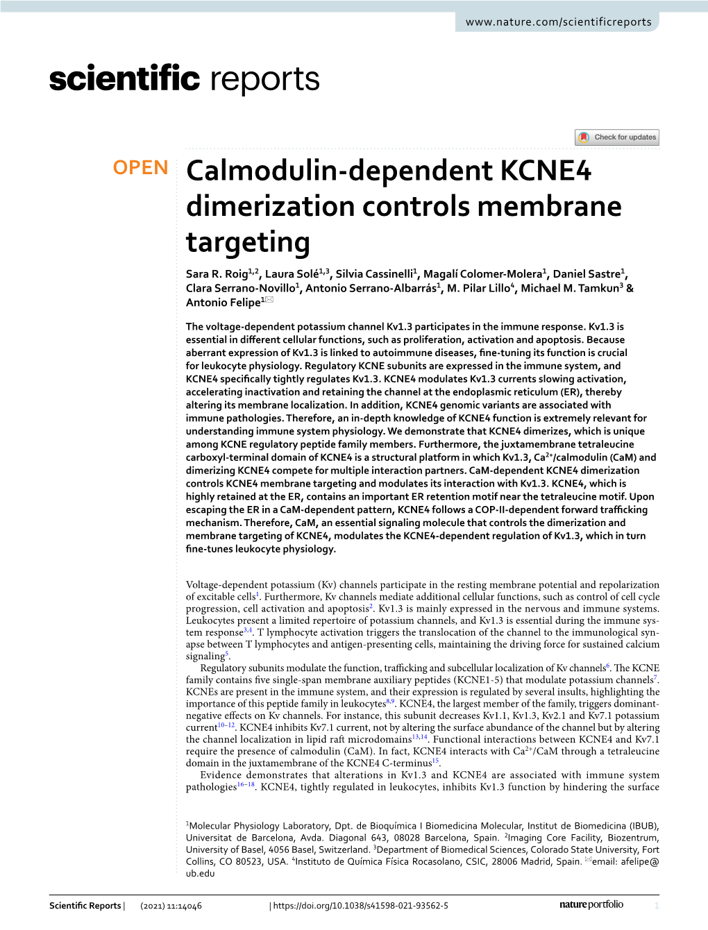 Calmodulin-Dependent KCNE4 Dimerization Controls Membrane