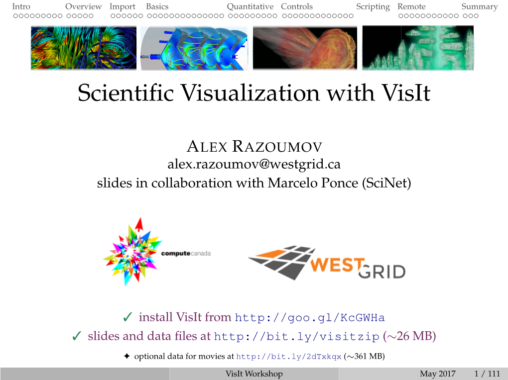 Scientific Visualization with Visit