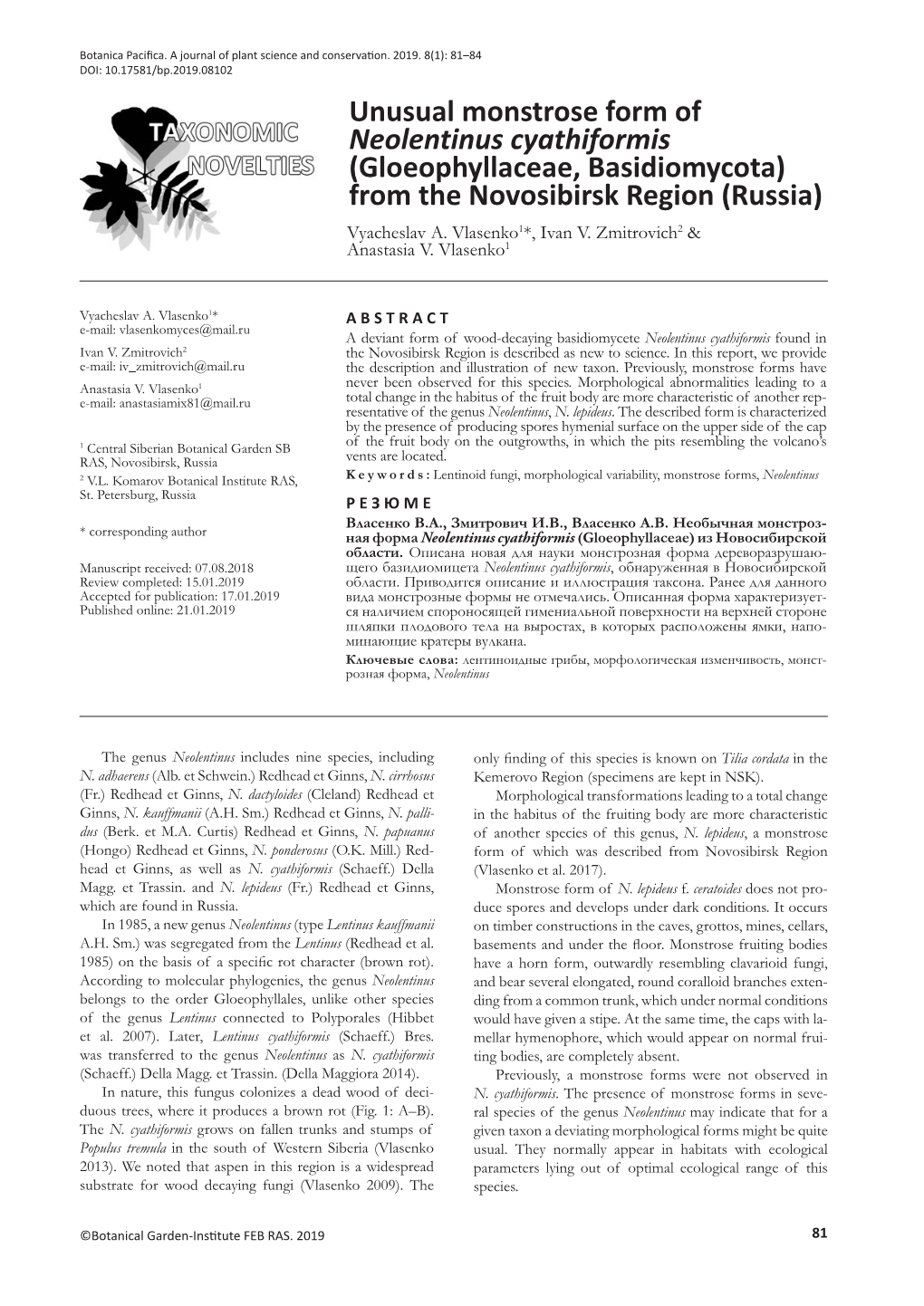 Unusual Monstrose Form of Neolentinus Cyathiformis (Gloeophyllaceae, Basidiomycota) from the Novosibirsk Region (Russia) Vyacheslav A