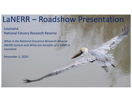 Lanerr Roadshow-Robert Twilley LA Sea Grant