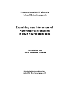 Examining New Interactors of Notch/Rbpjκ Signalling in Adult