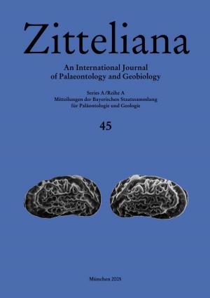 Phylogenetic Relationships of the Thalattosuchia 211