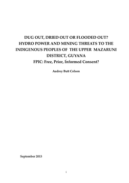 Hydro Power and Mining Threats to the Indigenous Peoples of the Upper Mazaruni District, Guyana