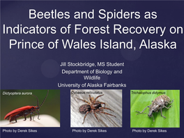 Beetles and Spiders As Indicators of Forest Recovery on Prince of Wales Island, Alaska