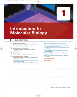 Introduction to Molecular Biology