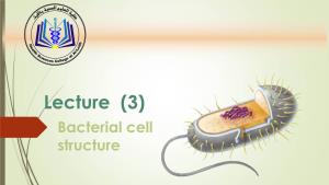 Gram Negative Bacterial Structure  Explain the Medical Implications of Spore Formation
