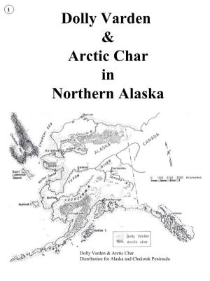 Arctic Char in Northern Alaska