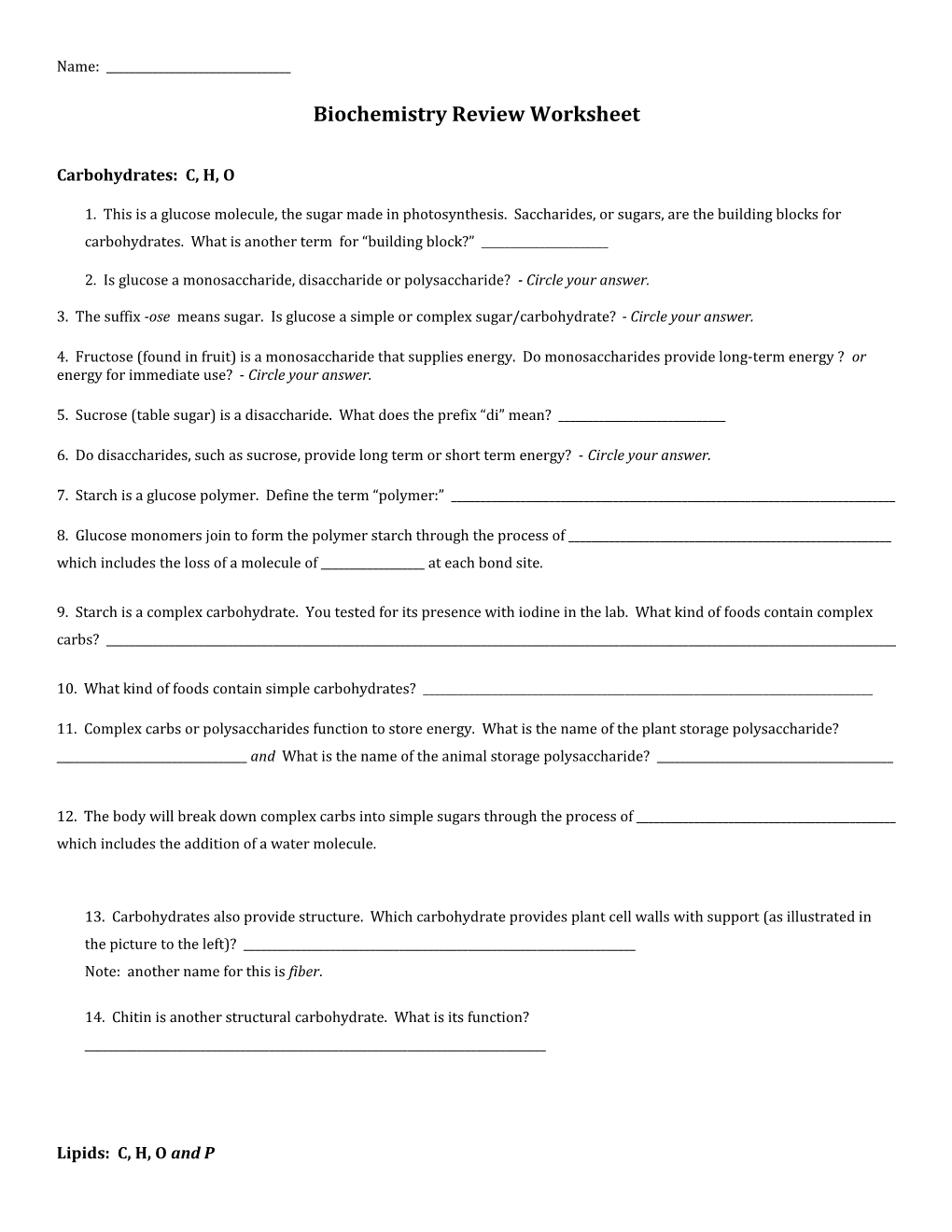 Biochemistry Review Worksheet