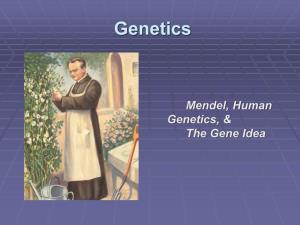 Mendel, Human Genetics, & the Gene Idea