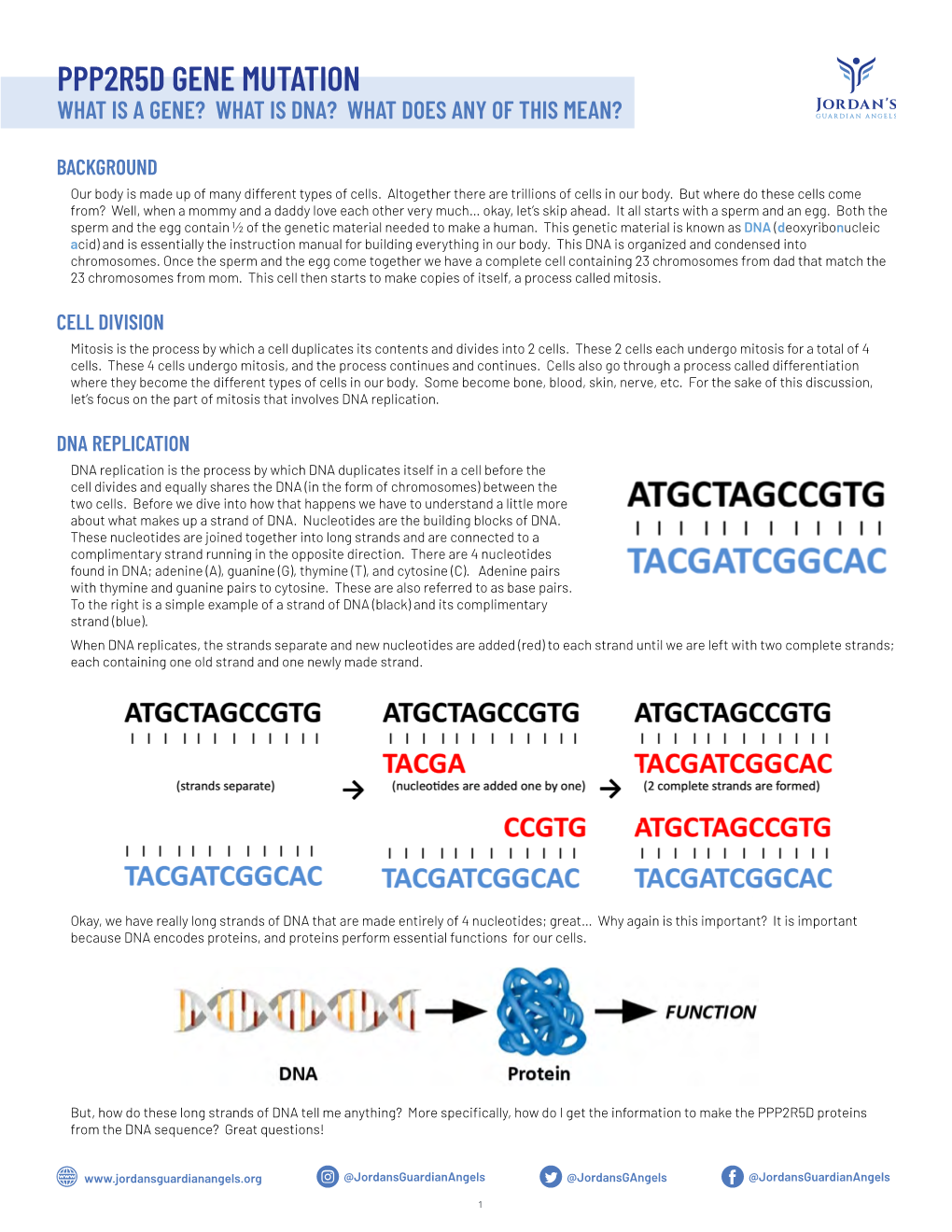 Ppp2r5d Gene Mutation What Is a Gene? What Is Dna? What Does Any of This Mean?