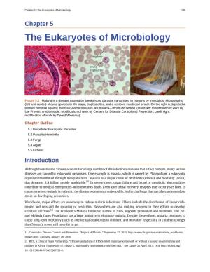 The Eukaryotes of Microbiology 195