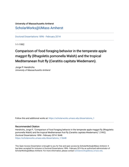 Comparison of Food Foraging Behavior in the Temperate Apple Maggot