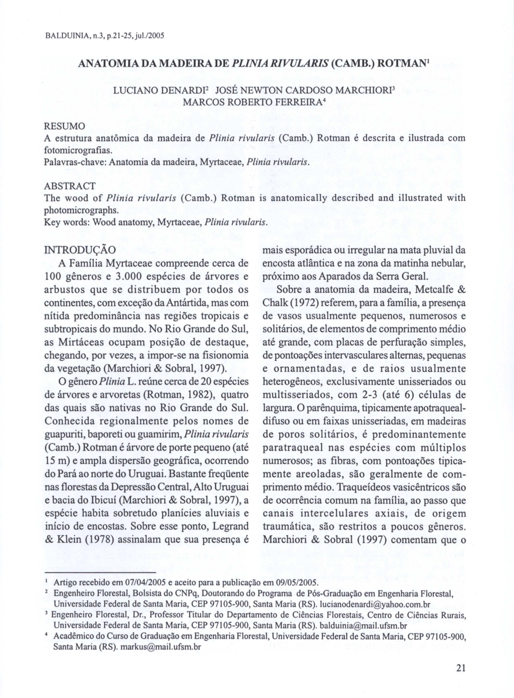 Anatomia Da Madeira De Plinia Rivularis (Camb.) Rotmani