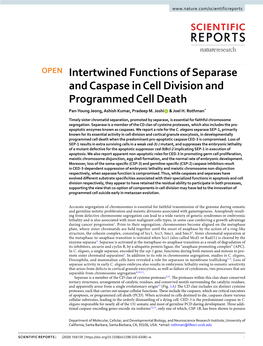 Intertwined Functions of Separase and Caspase in Cell Division and Programmed Cell Death Pan-Young Jeong, Ashish Kumar, Pradeep M