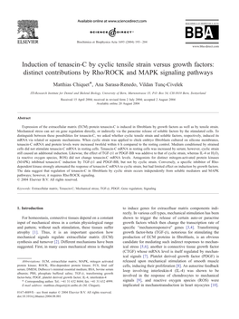 Induction of Tenascin-C by Cyclic Tensile Strain Versus Growth Factors: Distinct Contributions by Rho/ROCK and MAPK Signaling Pathways