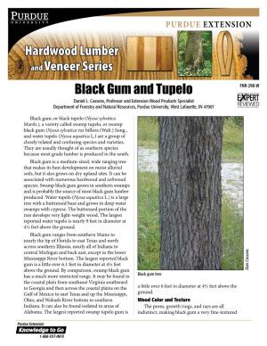 Black Gum and Tupelo FNR-298-W Daniel L