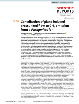 Contribution of Plant-Induced Pressurized Flow to CH4 Emission