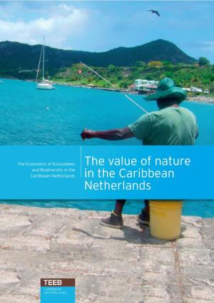 The Value of Nature in the Caribbean Netherlands