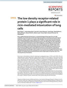 The Low Density Receptor-Related Protein 1 Plays a Significant Role in Ricin-Mediated Intoxication of Lung Cells