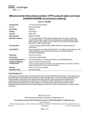 Mitochondrial Trifunctional Protein (TFP) Subunit Alpha and Beta (HADHA/HADHB) Monoclonal Antibody Cat