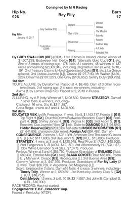 Bay Filly Barn 17 Hip No