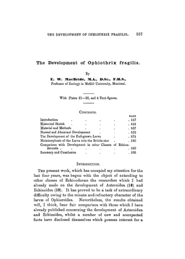 The Development of Ophiothrix Fragilis. 557