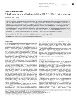 ARAF Acts As a Scaffold to Stabilize BRAF:CRAF Heterodimers