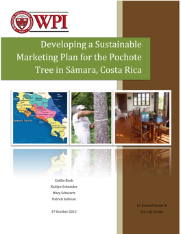 Developing a Sustainable Marketing Plan for the Pochote Tree In
