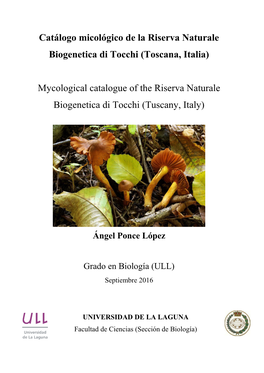 Catálogo Micológico De La Riserva Naturale Biogenetica Di Tocchi (Toscana, Italia)