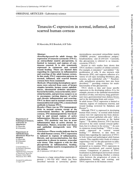 Tenascin-C Expression in Normal, Inflamed, and Scarred Human Corneas