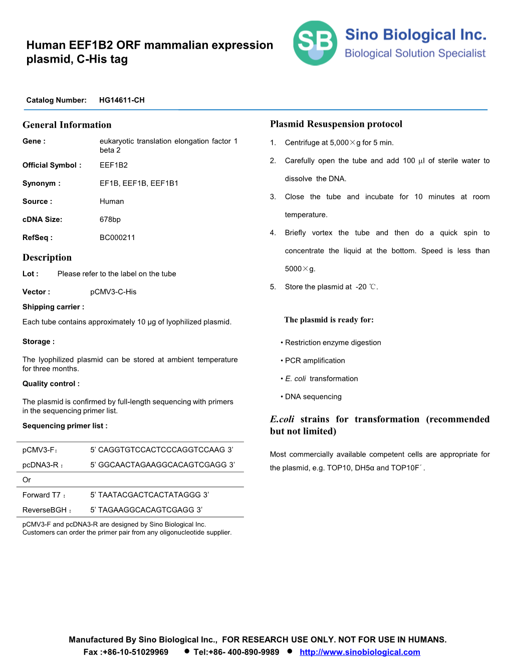 Human EEF1B2 ORF Mammalian Expression Plasmid, C-His Tag