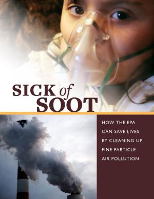 How the EPA Can Save Lives by Cleaning up Fine Particle Air Pollution Acknowledgements