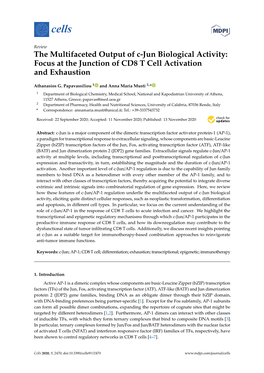 The Multifaceted Output of C-Jun Biological Activity: Focus at the Junction of CD8 T Cell Activation and Exhaustion