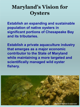 Maryland's Vision for Oysters