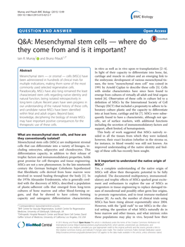 Mesenchymal Stem Cells — Where Do They Come from and Is It Important? Iain R