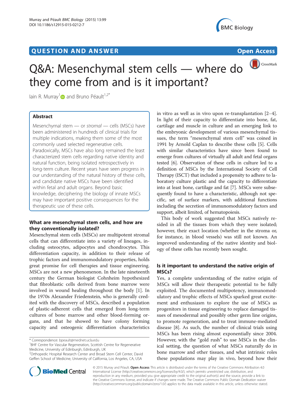 mesenchymal-stem-cells-where-do-they-come-from-and-is-it-important