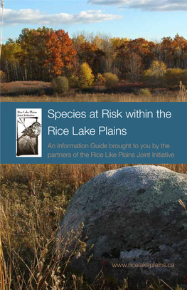 Species at Risk Within the Rice Lake Plains an Information Guide Brought to You by the Partners of the Rice Like Plains Joint Initiative