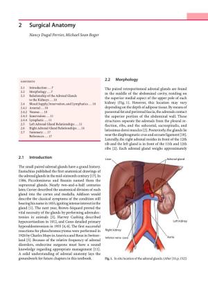 2 Surgical Anatomy