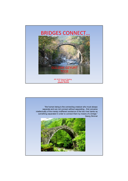 Bridges Connect…