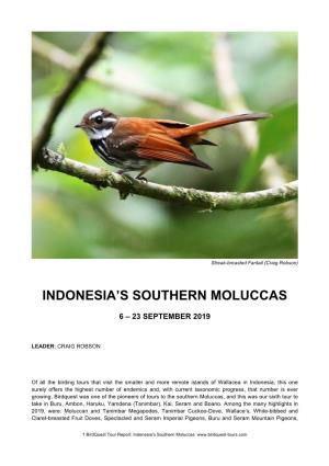 Indonesia's Southern Moluccas