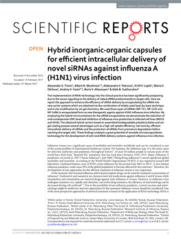 Hybrid Inorganic-Organic Capsules for Efficient