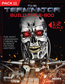 Build the T-800 1:2 Scale