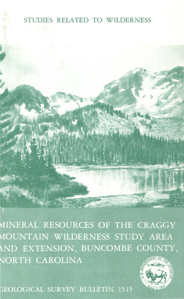 Mineral Resources of the Craggy Mountain Wilderness Study Area and Extension, Buncombe County, North Carolina