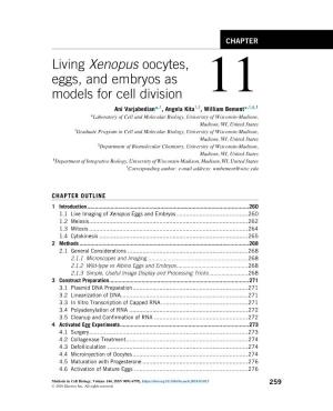 Living Xenopus Oocytes, Eggs, and Embryos As Models for Cell Division