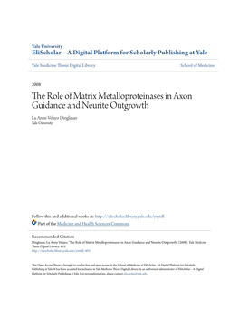 The Role of Matrix Metalloproteinases in Axon Guidance and Neurite Outgrowth Lu Anne Velayo Dinglasan Yale University