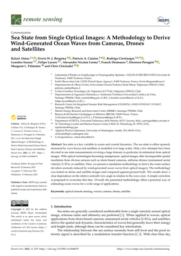 Sea State from Single Optical Images: a Methodology to Derive Wind-Generated Ocean Waves from Cameras, Drones and Satellites